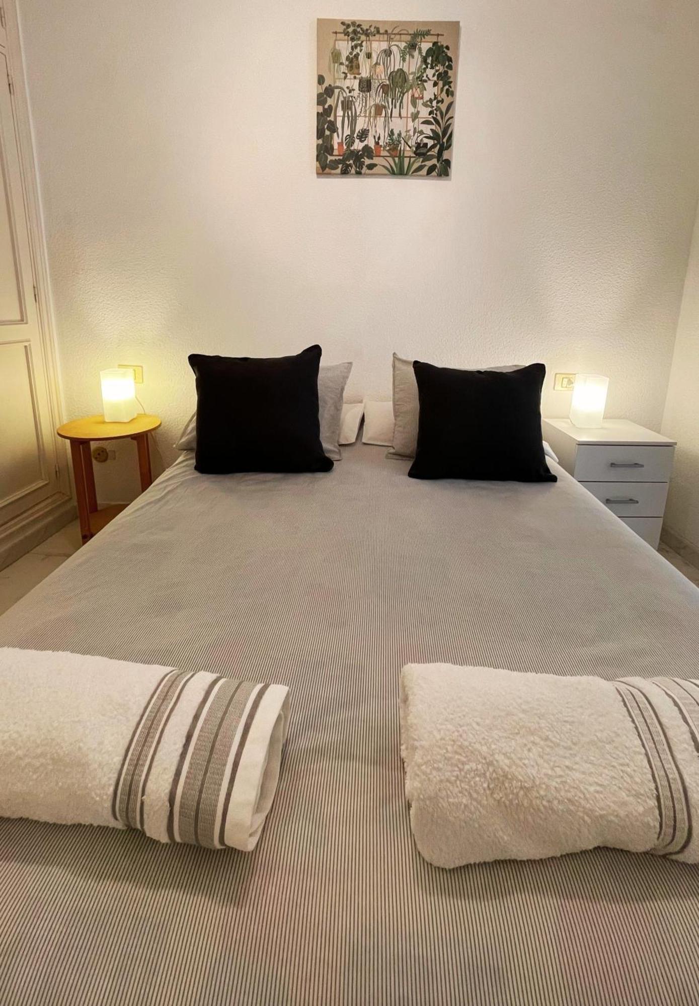 Acogedor Apartamento En El Corazon De La Laguna Сан-Крістобаль-де-ла-Лагуна Екстер'єр фото